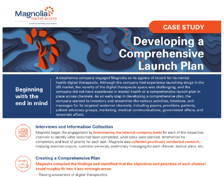 Developing a Comprehensive Launch Plan