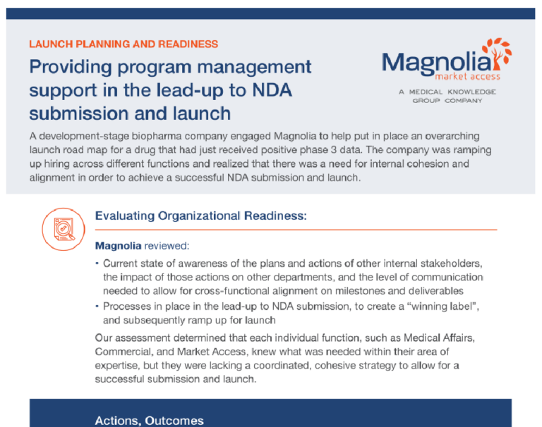 Providing program management support in the lead-up to NDA submission and launch