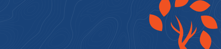 What Are Social Determinants of Health?